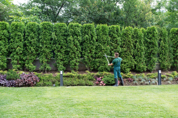 Best Landscape Design and Installation  in Hooper, NE